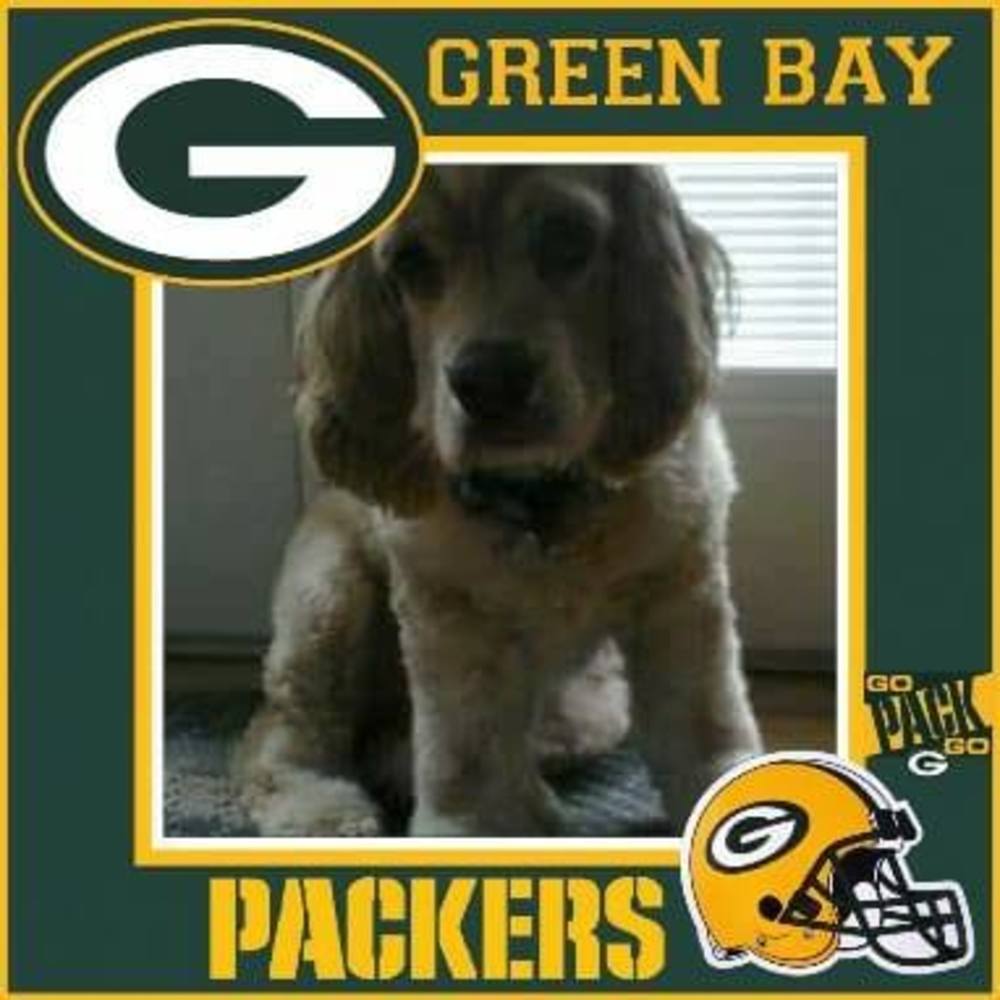 Meet your Posher, Shari